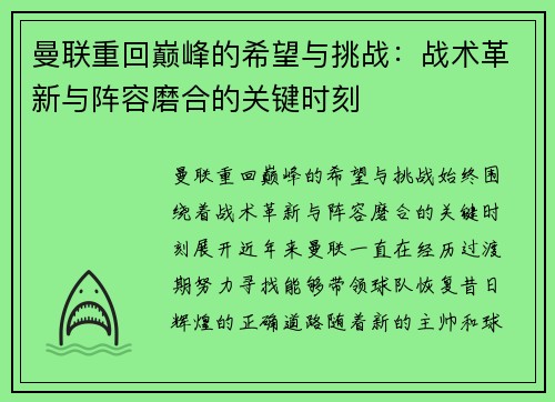 曼联重回巅峰的希望与挑战：战术革新与阵容磨合的关键时刻