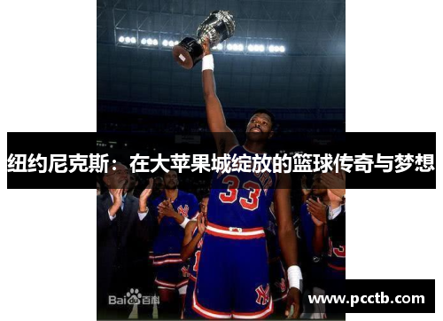 纽约尼克斯:在大苹果城绽放的篮球传奇与梦想