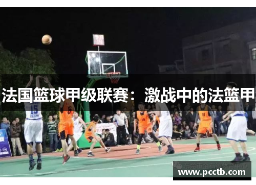法国篮球甲级联赛:激战中的法篮甲